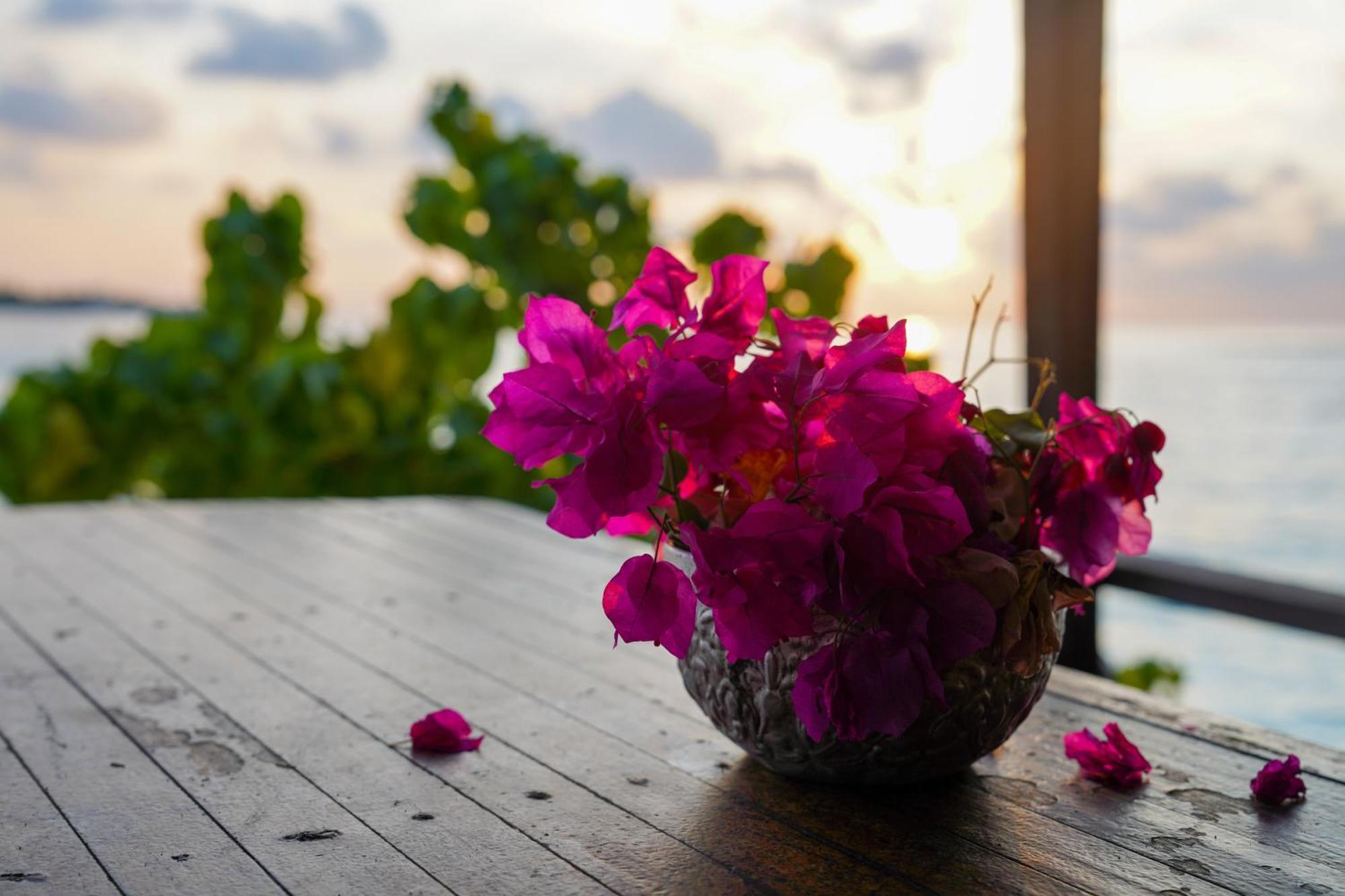 Hotel Sun & Surf Thulusdhoo Exterior foto